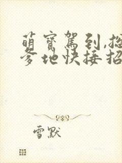 萌宝驾到,总裁爹地快接招