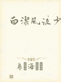 白洁风流少妇封面