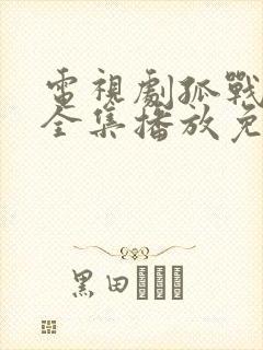 电视剧孤战迷城全集播放免费观看