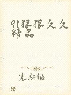 91狠狠久久久精品
