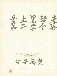 爱上黑帮老大的第二季全集免费观看