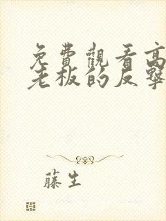 免费观看高清女老板的反击短剧