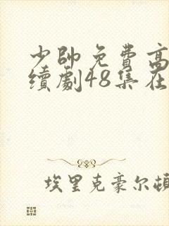 少帅免费高清连续剧48集在线观看