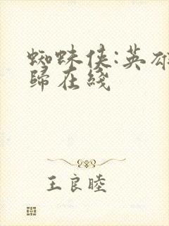 蜘蛛侠:英雄无归在线封面