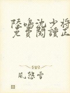 陆鸣沈少将全文免费阅读正版