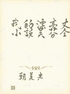 我的漂亮丈母娘小说吴芬全文阅读