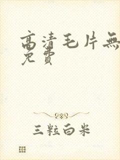 高清毛片无遮挡免费