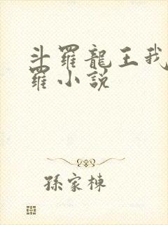 斗罗龙王我为阎罗小说封面