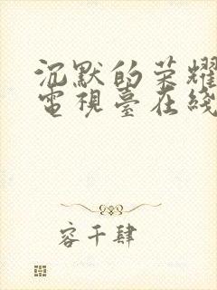 沉默的荣耀播放电视台在线观看