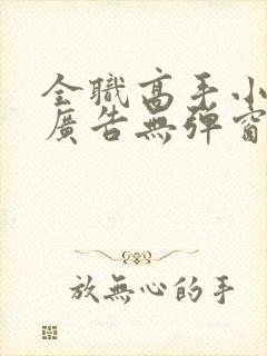 全职高手小说无广告无弹窗