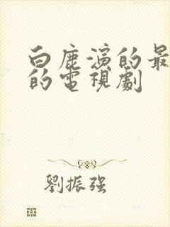 白鹿演的最好看的电视剧