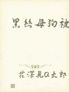 黑丝母狗被爆操