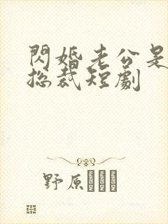 闪婚老公是亿万总裁短剧