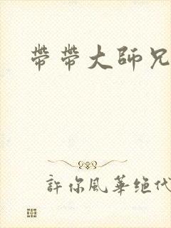 带带大师兄封面