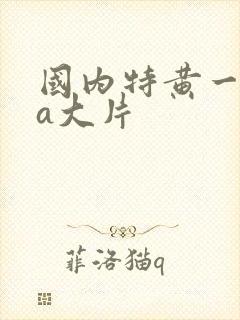 国内特黄一级aa大片