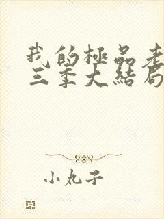 我的极品老婆第三季大结局