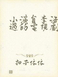 小演员李洛伊演过的电视剧