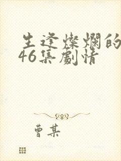 生逢灿烂的日子46集剧情封面