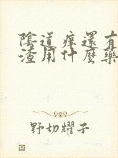 阴道痒还有豆腐渣用什么药