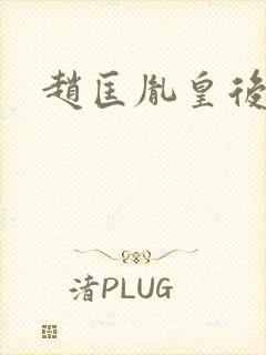 赵匡胤皇后结局封面