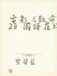 电影《致命黑兰2》国语在线播放封面