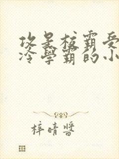 攻是校霸受是清冷学霸的小说封面