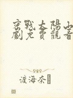 密战太阳山电视剧免费观看