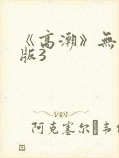 《高潮》无删减版3封面