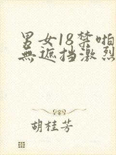 男女18禁啪啪无遮挡激烈