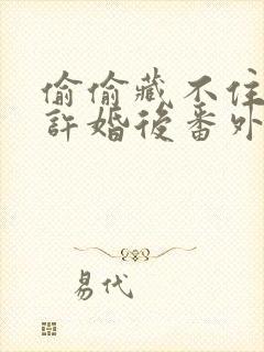 偷偷藏不住段嘉许婚后番外资源封面