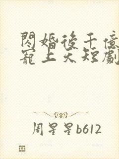 闪婚后千亿老公宠上天短剧12