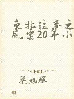 东北往事之黑道风云20年小说