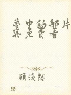 梦中的那片海全集免费看