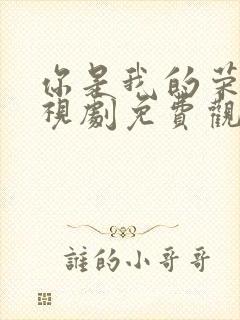 你是我的荣耀电视剧免费观看27