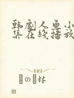 韩剧人鱼小姐全集在线播放封面