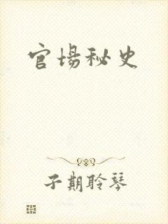 官场秘史