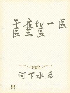 午夜tv一区二区三区