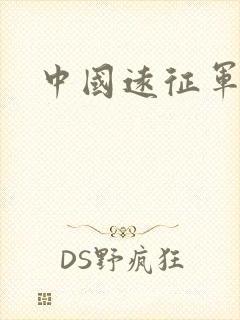 中国远征军小说