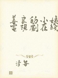 善良的小姨韩剧电视剧在线观看免费