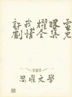 许我耀眼电视剧剧情全集免费观看封面