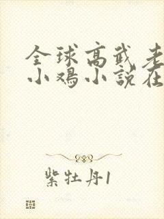 全球高武老鹰吃小鸡小说在线阅读全文免费