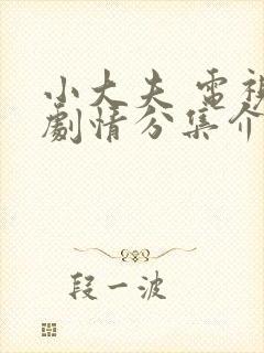 小大夫 电视剧剧情分集介绍