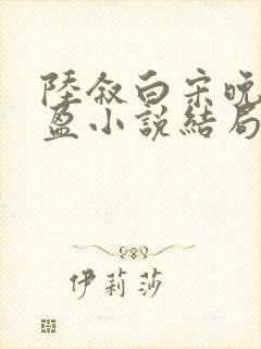 陆叙白宋晚陆盈盈小说结局