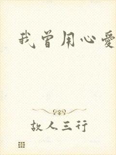 我曾用心爱着你