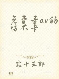 免费看av的网站不卡