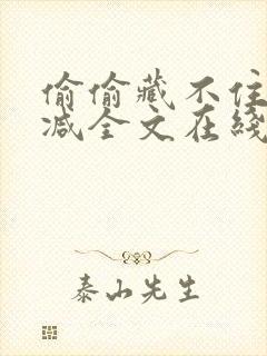 偷偷藏不住无删减全文在线阅读