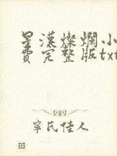 星汉灿烂小说免费完整版txt下载