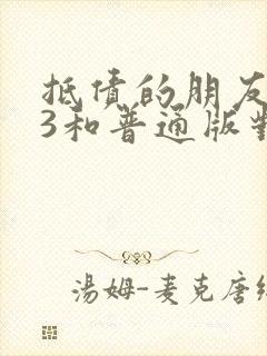 抵债的朋友麦子3和普通版对比