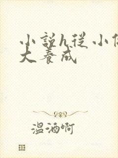 小说h从小做到大养成