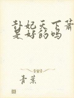 卦妃天下萧士睿是好的吗